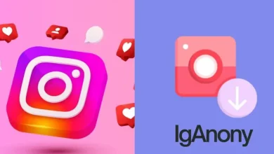 iganony-–-the-best-online-ig-story-viewer-(free-and-anonymous-app)-in-2024