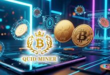 xrp-focus-and-btc-etf-hit-new-highs-—-quid-miner-launches-new-contracts-for-daily-crypto-earnings