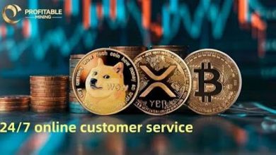 profitablemining:-the-preferred-cloud-mining-platform-for-dogo-investors